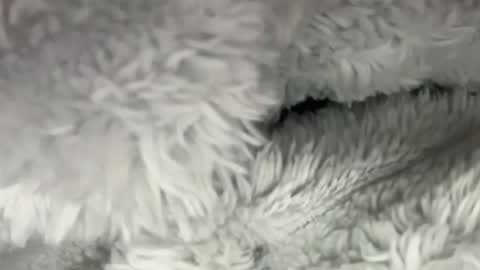 menarethebest123 online show from June 2026 02:47:02 AM