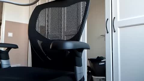 Snapshot of mendosajuan chatting on March 2025 04:41:01 PM DutchFun Cock online show from March 2025 04:41:01 PM