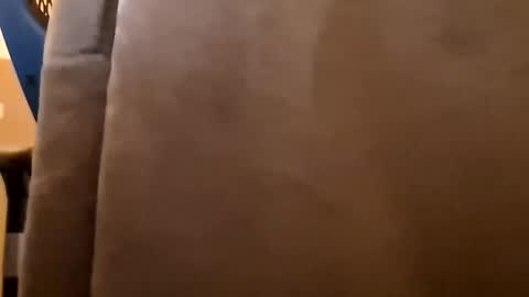 Snapshot of mendosajuan chatting on January 2026 04:32:02 PM DutchFun Cock online show from January 2026 04:32:02 PM