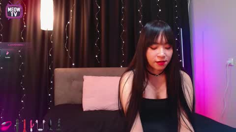 meowkami online show from February 2026 12:51:02 AM