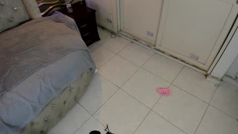    online show from January 2025 01:08:01 AM