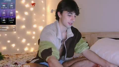 Snapshot of merry_mark chatting on January 2026 08:56:01 PM Mark online show from January 2026 08:56:01 PM