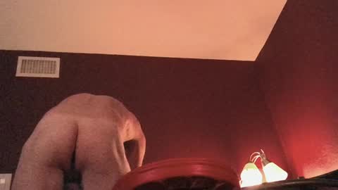 methorny online show from December 2024 03:19:01 AM