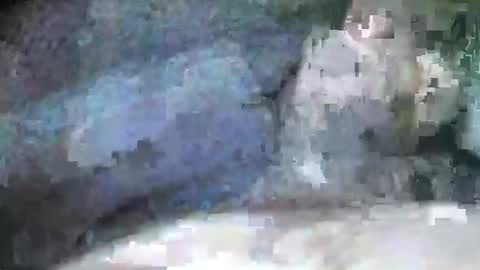 Snapshot of mexianthehawk chatting on September 2025 09:09:02 PM mexianthehawk online show from September 2025 09:09:02 PM