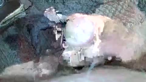 Snapshot of mexianthehawk chatting on November 2025 11:22:02 AM mexianthehawk online show from November 2025 11:22:02 AM