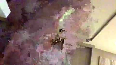 mi45419 online show from February 2026 03:29:02 AM