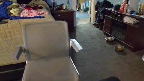 Mia online show from December 2024 01:54:01 PM