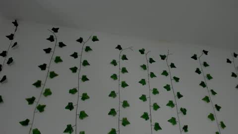 MIA online show from January 2026 10:25:02 PM