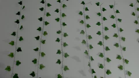 MIA online show from February 2026 10:26:02 PM