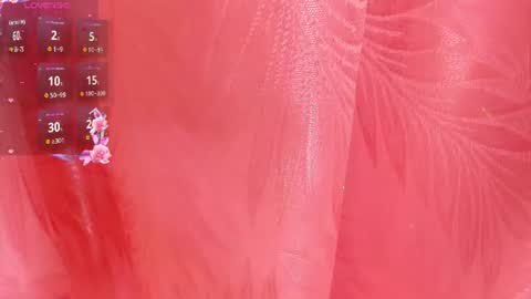Snapshot of mia_nova5 chatting on July 2026 11:49:02 AM mia_nova5 online show from July 2026 11:49:02 AM