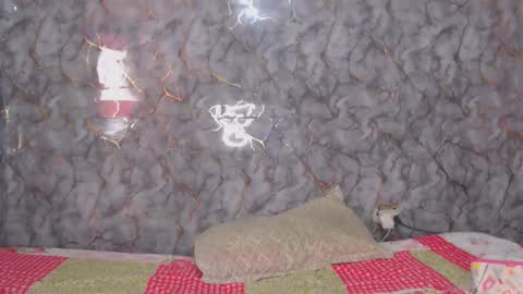 miarouse1531 online show from February 2026 03:27:01 PM