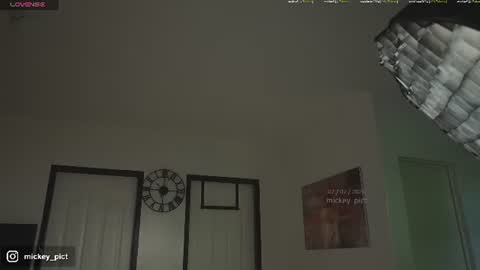 Snapshot of mickey_pict chatting on July 2026 05:02:02 AM Mickey online show from July 2026 05:02:02 AM