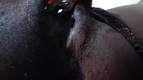 mickey online show from December 2025 12:43:01 PM