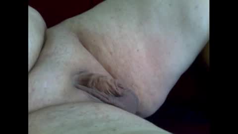 micropimmel online show from November 2025 01:02:01 PM