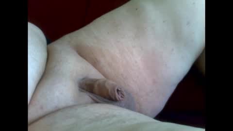 micropimmel online show from January 2026 01:38:01 PM