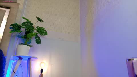 MIA  online show from January 2026 12:00:01 PM