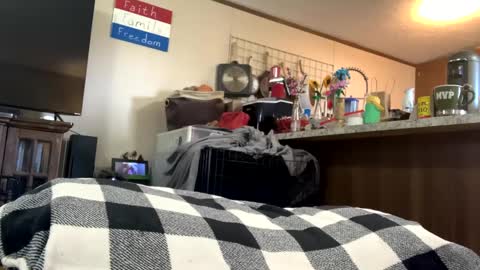 Snapshot of mikeylikesit2222 chatting on September 2025 08:23:02 PM mikeylikesit2222 online show from September 2025 08:23:02 PM