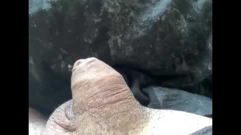 mikke332 online show from February 2025 11:57:02 AM