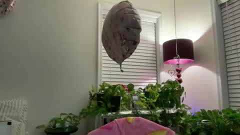 MIlf Goddess online show from July 2026 02:36:02 AM