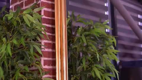 Snapshot of milla_serene chatting on January 2026 07:54:01 AM Milla online show from January 2026 07:54:01 AM