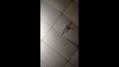 miloanj online show from November 2025 04:45:02 AM