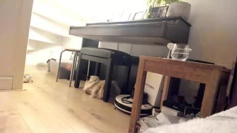 Milu online show from March 2025 03:40:01 AM