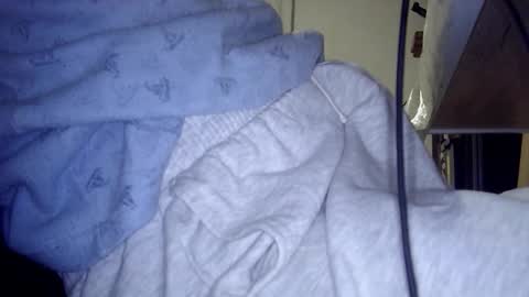 miniorganismo online show from December 2025 03:41:01 PM