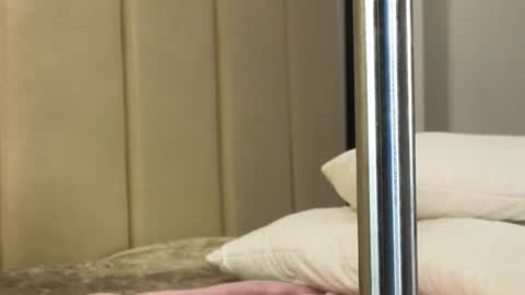 Annie  dont forget to thumbs up me  online show from January 2025 01:11:02 PM