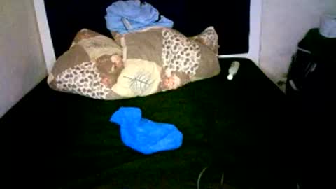 Snapshot of misscuteberry chatting on January 2026 08:39:02 AM VAL online show from January 2026 08:39:02 AM