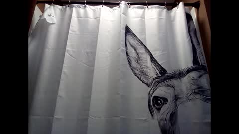 MissEeva online show from December 2024 06:44:01 PM