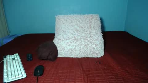 mimmi online show from May 2026 07:04:02 AM