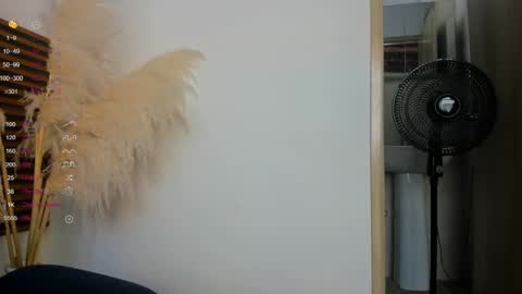 missvalery1 online show from January 2025 09:20:01 PM