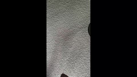 mister_nasty online show from October 2025 09:56:01 PM