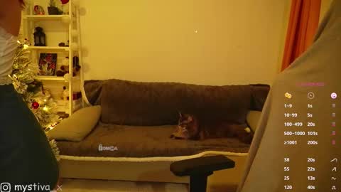 Hi everyone Im Tina online show from December 2025 05:53:01 PM