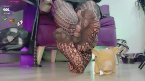 Jhadee online show from February 2026 11:46:01 PM