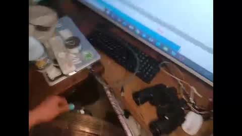 Snapshot of mistresstiasissy chatting on December 2025 02:25:01 PM mistresstiasissy online show from December 2025 02:25:01 PM