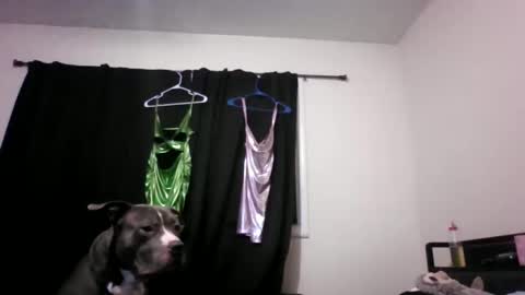 miztrezk online show from May 2026 02:08:02 AM