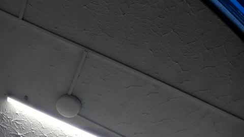 Hey Guys  Im Mollie online show from January 2026 12:10:01 PM