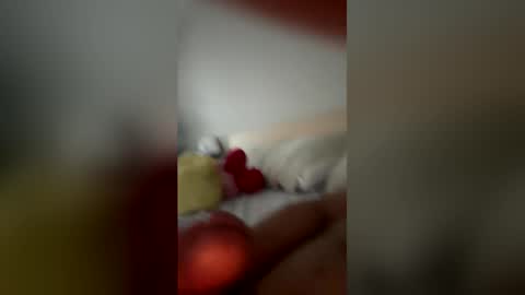 monchito88 online show from June 2026 11:27:02 AM