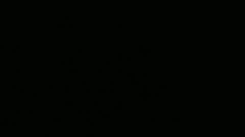 MonicaLuigi online show from December 2025 01:24:02 AM