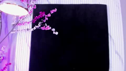 MONIK FOX online show from November 2025 07:41:02 PM