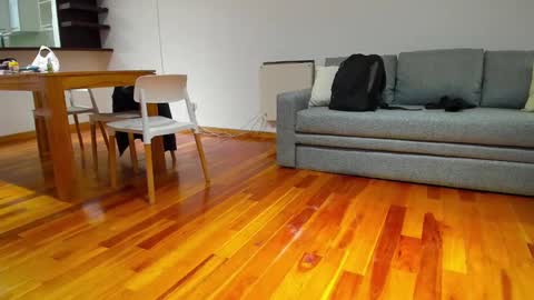 Snapshot of monikfree chatting on December 2024 04:23:01 PM Monikfree online show from December 2024 04:23:01 PM