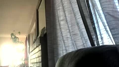 Monkee Dance online show from December 2024 05:36:02 PM