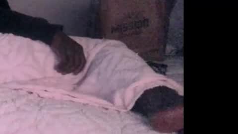 montydxxx2 online show from February 2026 06:40:02 AM