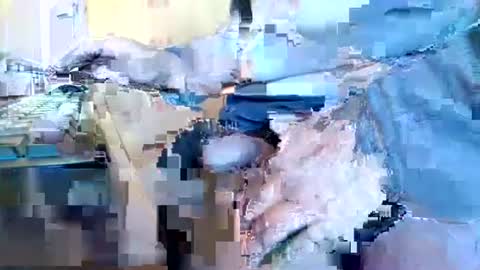 Snapshot of mookie2 chatting on January 2025 09:47:01 AM mookie2 online show from January 2025 09:47:01 AM