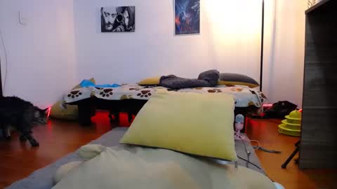 Luna online show from January 2025 02:43:01 AM