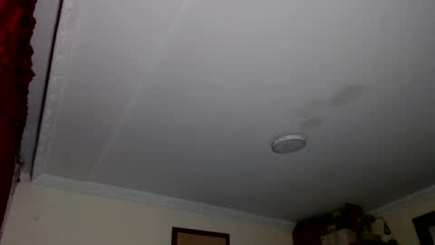 Snapshot of morbidangel08 chatting on October 2025 05:43:02 AM Abelardo online show from October 2025 05:43:02 AM