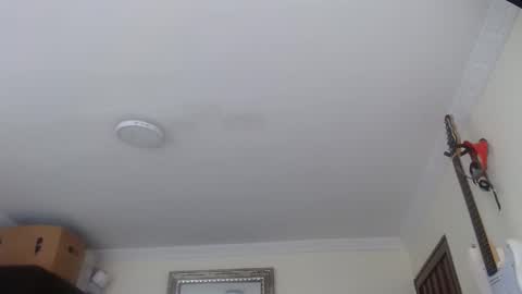 Abelardo online show from January 2026 03:28:02 PM