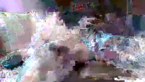 Snapshot of morboso2563 chatting on November 2025 10:30:02 PM morboso2563 online show from November 2025 10:30:02 PM