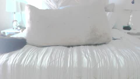 Didier online show from March 2026 05:20:01 PM